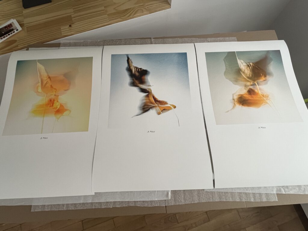 Trois tirages format affiche d’Olivier D’Auria aux teintes douces et poétiques, issus des nouveautés déco disponibles en galerie